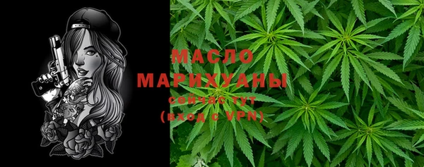 стафф Верхний Тагил